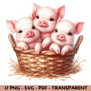9 aquarelvarkens in mand | 9 schattige biggetjes-clipart | Boerderijdieren, png