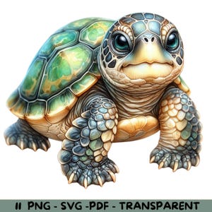 11 imágenes prediseñadas de tortugas de acuarela / Fondo transparente / PNG, SVG, PDF / Uso comercial