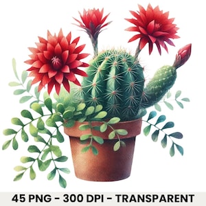 45 Watercolor Succulent Clipart, PNG, Transparent Background, Birthday Gift.