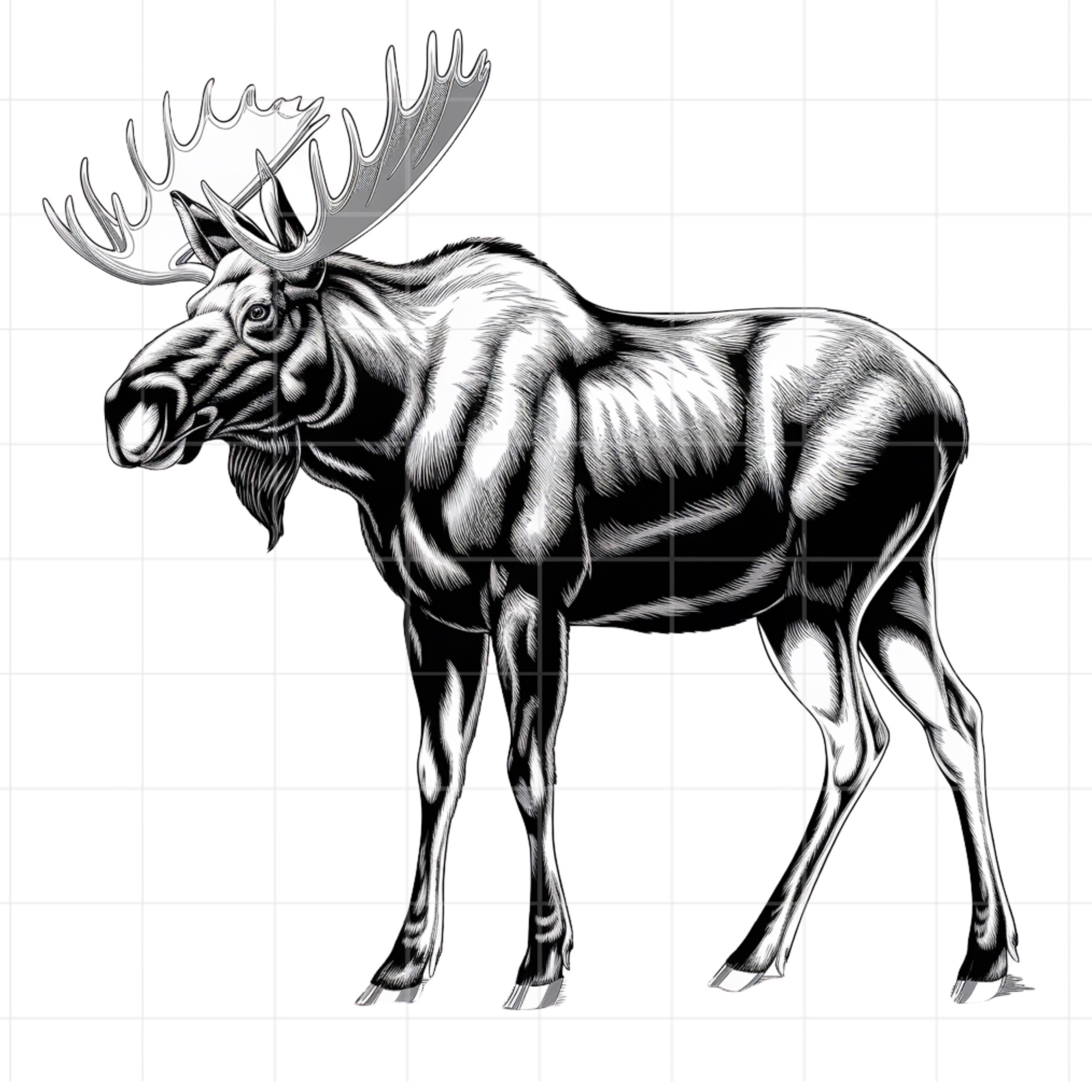 9 Black and White Moose Clipart - High Resolution Vector - PNG, SVG ...