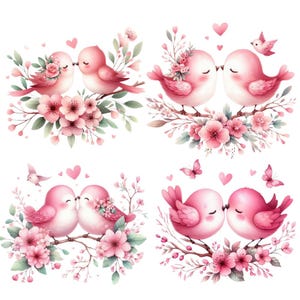 35 oiseaux roses aquarelles s'embrassant pour la Saint-Valentin fond transparent, clipart oiseaux romantiques, baisers oiseaux saint valentin PNG, oiseaux roses