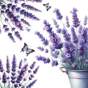 59 Watercolor Lavender Flowers Clipart, lavender floral, purple flowers, wedding flowers, home decor, digital download lavender flowers.