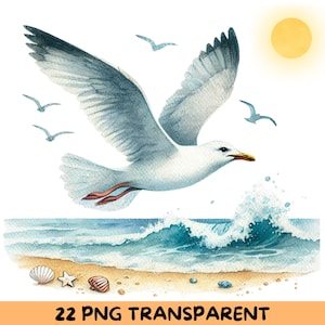 22 Watercolor Realistic Seagull PNGs, 5000x5000 Pixels, Transparent Background, Seagull Art, Seagull Digital, Beach Theme Clipart
