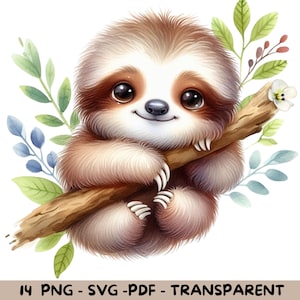 14 Watercolor Baby Sloth Clipart | Cute Sloth on Branch | Transparent Background | PNG, SVG, PDF | Commercial Use
