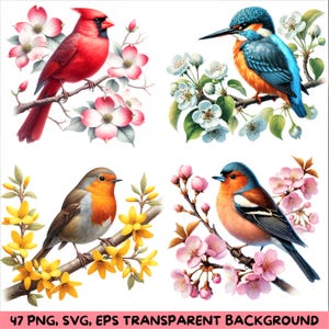 47 Uccelli acquerellati sul ramo, png, svg, eps, sfondo trasparente, PNG 5000x5000, Uccelli png, uccelli svg sul ramo di fiori