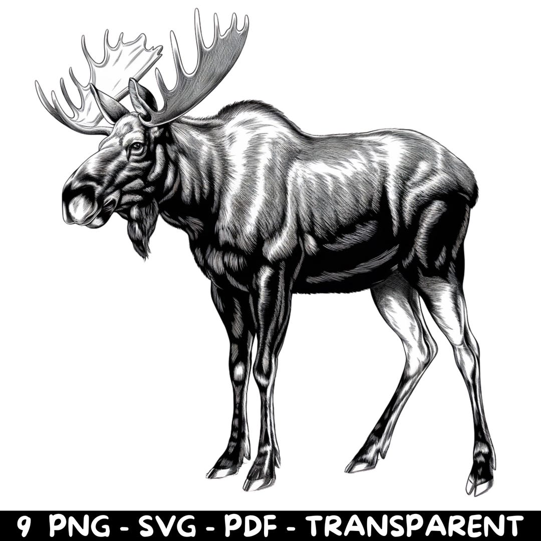 9 Black and White Moose Clipart - High Resolution Vector - PNG, SVG ...