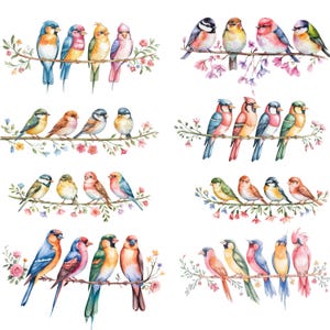 23 oiseaux aquarelles sur une branche, fond transparent, PNG 4000 x 4000