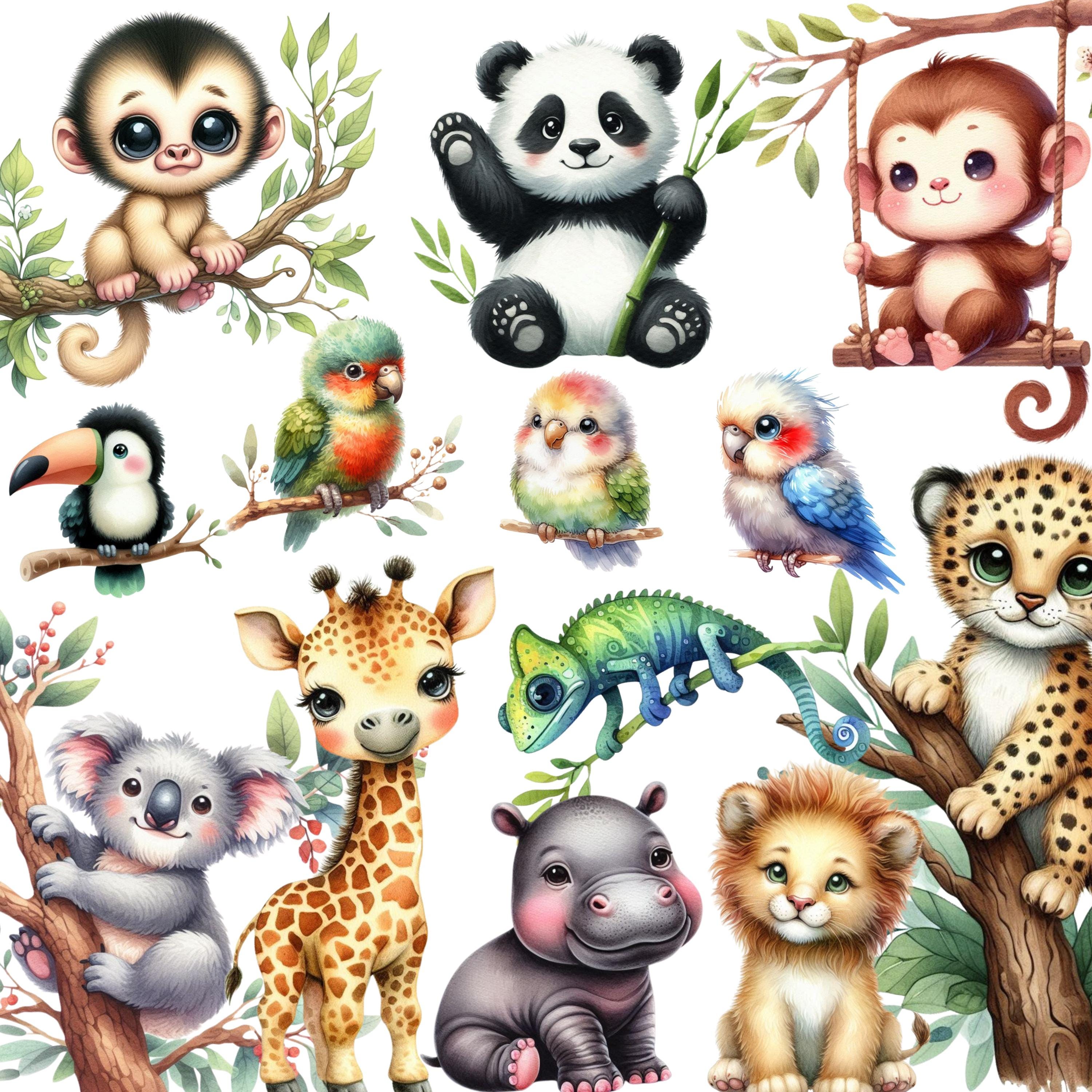 47 Watercolor Cute Jungle Animals Clipart, Safari Baby Animal PNG ...