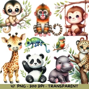 47 Clipart animaux mignons de la jungle aquarelle, PNG Safari bébé animal, Clipart Animal aquarelle, Clipart baby shower, Lion tigre singe