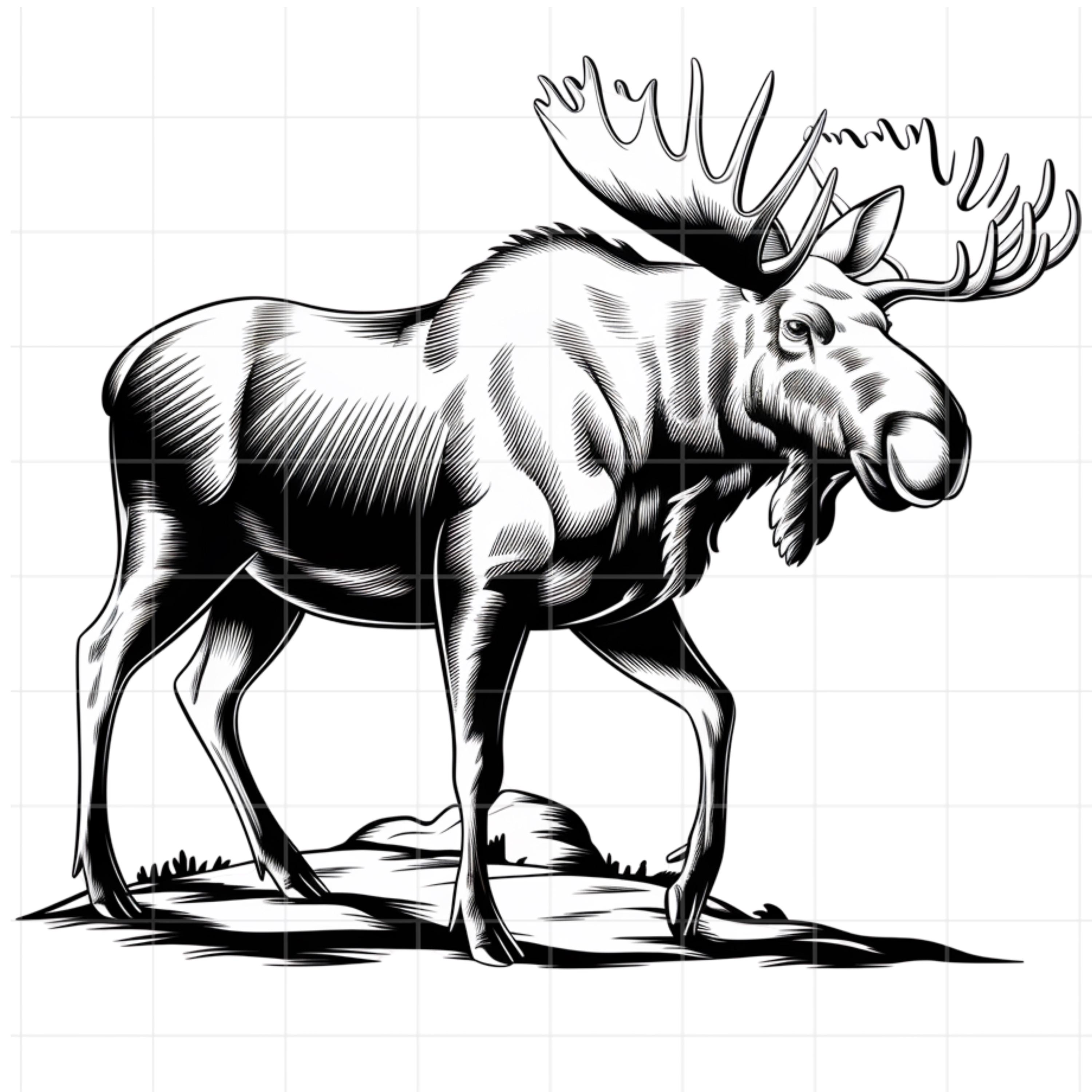 9 Black and White Moose Clipart - High Resolution Vector - PNG, SVG ...