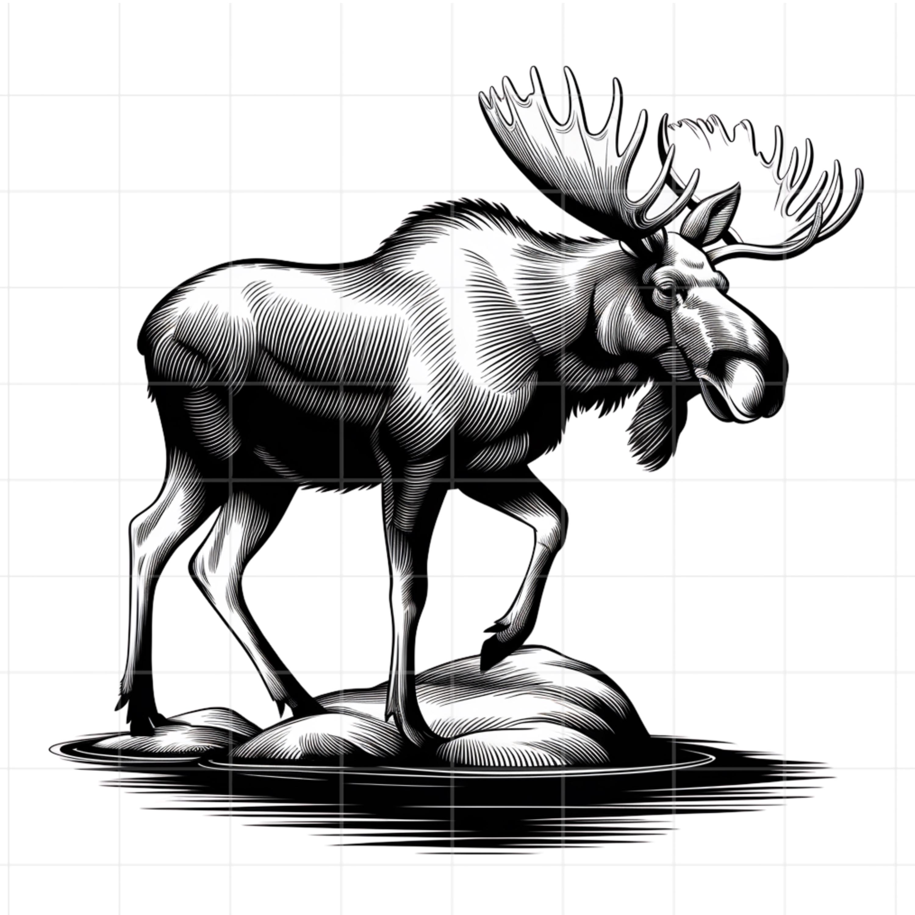 9 Black and White Moose Clipart - High Resolution Vector - PNG, SVG ...