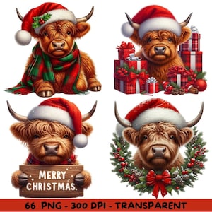 66 Watercolor Christmas Highland Cow Clipart, Transparent Background