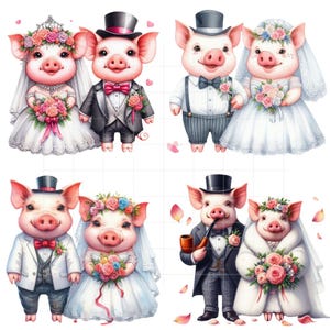 46 Watercolor wedding pigs transparent background, Funny wedding pigs clipart, Bride and groom pig PNG, Pig couple wedding art