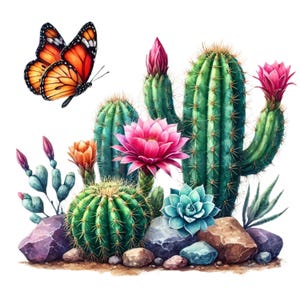 27 aquarelcactus met bloemen op rotsen, transparante achtergrond, png-bestanden: 4000 x 4000 pixels