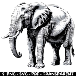 9 Clipart éléphant noir et blanc - vecteur haute résolution - PNG, SVG, PDF