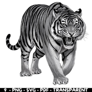 Black & White Tiger | Wild Animal Digital Art | SVG, PNG, PDF | Commercial Use