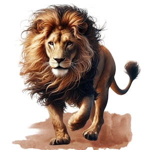 13 Watercolor Realistic Lion PNGs - Watercolor Art, Lion Clipart, Watercolor Lion Painting, Printable Watercolor clipart, High Quality