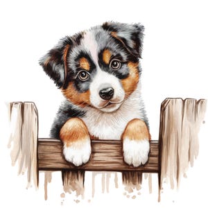 12 aquarelle chiot berger australien furtivement au-dessus de la clôture PNG, Clipart Animal, Peeking dog PNG, illustration de chiot