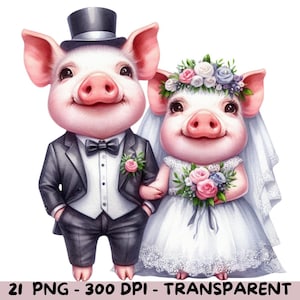 21 maialini da matrimonio acquerello sfondo trasparente, divertenti maialini da matrimonio clipart, sposa e sposo maiale PNG, arte di nozze coppia maiale