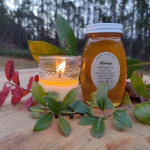 Honey Raw Pure Local Natural Unfiltered Unheated Florida USA