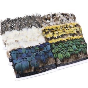 Puede incluir: Una colección de tiras de adornos de plumas dispuestas en una cuadrícula. El surtido incluye plumas moteadas en blanco y negro, plumas blancas sólidas, plumas a rayas amarillas y marrones, plumas azules iridiscentes y plumas verdes.