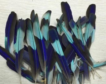 Natural Kingfisher Feather, 10pcs, 8-10cm Long, Dyed Blue Plumage,  for DIY Craft Accessories, Making Jewelry, Hat Ornament, Party Decor