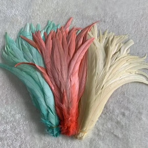 Può includere: Una collezione di piume colorate nei toni dell'azzurro, corallo e crema. Le piume sono disposte a ventaglio, mostrando la loro delicata consistenza e le loro tonalità vivaci. Ideale per lavori artigianali o decorativi.