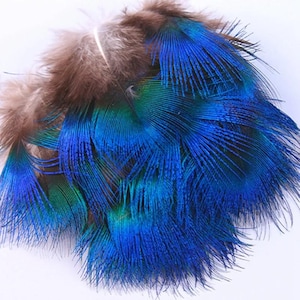 Natural Blue Peacock Feathers for Jewelry Making,  3-7cm Small Plumes Decor, Peacock Plumage Feathers, Craft, Dreamcatcher, Hair, Feathers