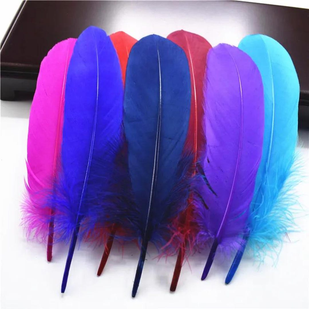 Lot De 100 Plumes D'Oie Blanches 15-20cm - Pour DIY, Mariage, Décoration - Naturelles