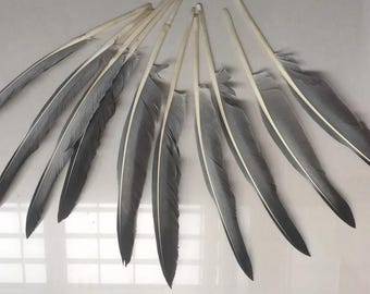 Natural Goose Feathers, 50pcs, 12-14inch, Durable Wings for DIY Craft, Handmade Jewelry Dangling Earrings, Hat Ornament, Party Decoration