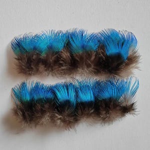 Blue Peacock Body Feather Plumes, 50pcs Soft Shiny Plumage for DIY Craft Art, Wedding, Dance Costume, Hat Making Decoration, Party Supplies