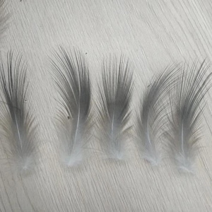 50Pcs Natural Heron Gray Feathers for DIY Crafting, 2-3inch/5-8cm Wedding Party Decoration, Costume Accents, Jewelry Making Loose Plumage