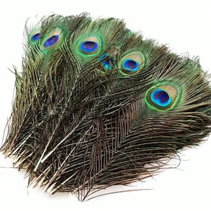 Natürliche Pfaufedern, 10 / 20 Stück 10-12 Zoll / 25-30 cm, für DIY Handwerk Party Hochzeit Home Decor, Big Eye natürlichen schillernden Pfau Auge Schwanz