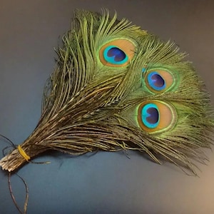 Natural Peacock Tail Feathers Plume 100pcs 25-32cm / 10-12inch Peacock Feather Eyes for DIY Crafts Clothing Sewing, Wedding Party Decoration