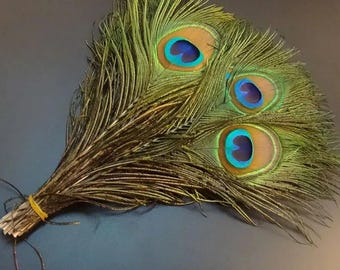 Natural Peacock Tail Feathers Plume 100pcs 25-32cm / 10-12inch Peacock Feather Eyes for DIY Crafts Clothing Sewing, Wedding Party Decoration