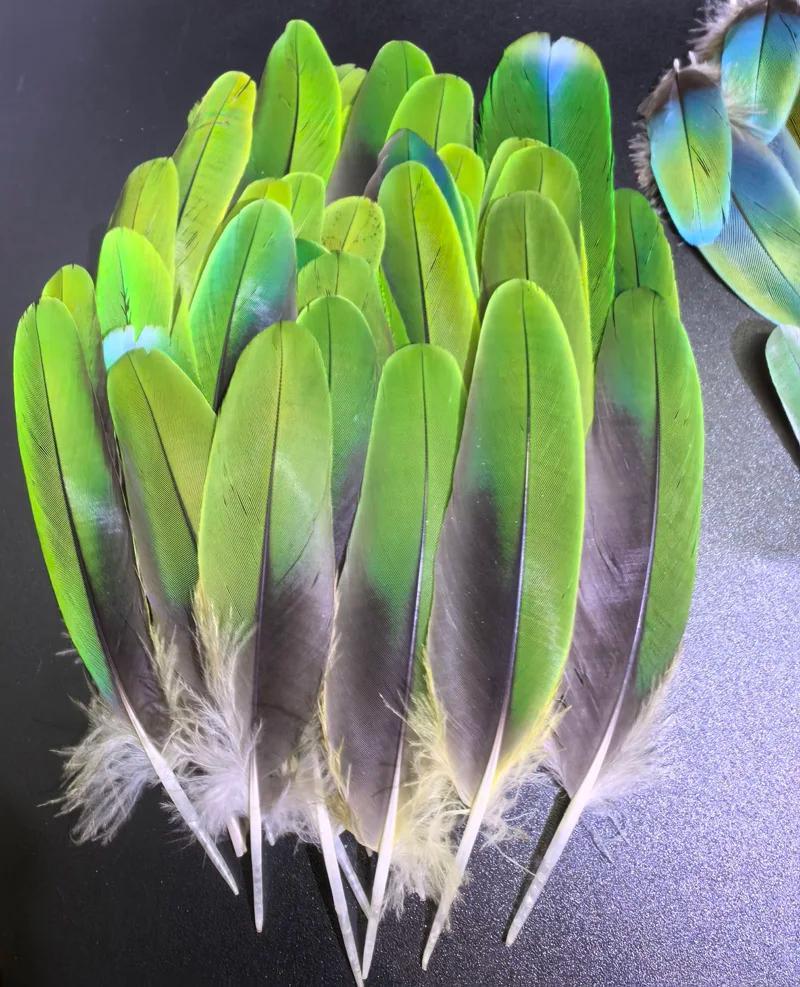 Exotic Feathers Fly Tying