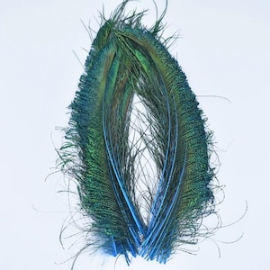 Puede incluir: Dos plumas de pavo real con tonos verdes y azules iridiscentes. Las plumas están dispuestas en forma curva sobre un fondo blanco. Las plumas tienen un aspecto suave y texturizado.