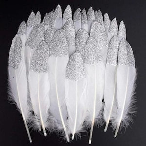 Silver Powder Goose Feathers, 10-22cm 20pcs, DIY Craft Plumes for Wedding Centerpieces, Party Decorations, Accessory, White Feather Projects