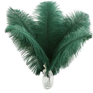 Natürliche dunkelgrüne Straußenfeder, 10-200 Stück, gefärbt, weiche Federn, für DIY Handwerk, Hochzeit Dekoration, Tischdekoration, Karneval