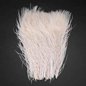 50/100 pezzi piume di pavone bianche naturali con coda di occhio da 10 a 12 pollici piume di pavone per artigianato fai da te, decorazione per feste di matrimonio, decorazione per vasi