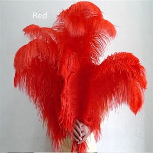 Red Ostrich Feather, 10-500pcs  Elegant, Fluffy, Soft Texture for DIY Craft, Table Centerpieces, Party Wedding Accessories, Decorative Plume