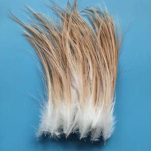 May include: A collection of feathers with a gradient of colors. The top portion of the feathers is a light brown, transitioning to white at the tips. The feathers are arranged against a solid blue background.