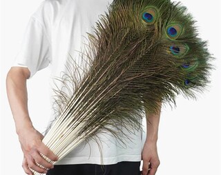 20 Piume Di Pavone Naturali Vere - 25-30 Cm Per Decorazioni Fai Da Te, Matrimoni E Centrotavola