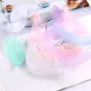 May include: A collection of soft, decorative feathers in pastel shades of white, mint green, light pink, and a gradient of blue and pink. The feathers are arranged on a white surface, with some overlapping, showcasing their delicate, wispy texture.