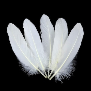 Piume d'aquila bianche naturali, accessorio decorativo fai da te per gioielli da esibizione sul palco, acchiappasogni, forniture artigianali, 10 pezzi, 40-45 cm/16-18 pollici