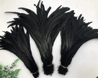 10Pcs Natural Black Rooster Tail Feathers for Crafts, Wedding Decorations, DIY Clothing Embellishments, Feather Costume And Accessories
