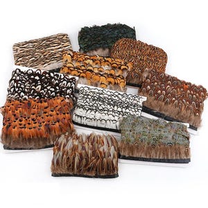 May include: A collection of ten rectangular strips of decorative feathers in various patterns and colors, including brown, black, white, orange, and iridescent green, each attached to a solid base for crafting and trim applications.
