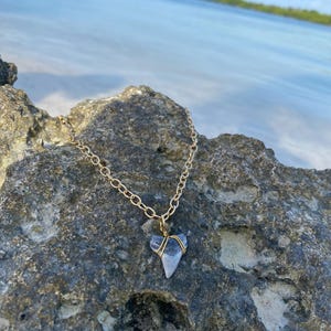 Handpicked Shark Tooth Necklace, Gold Plated Stainless Steel Beach Jewelry, South Florida Ocean Inspired Pendant real fossilized shark tooth
