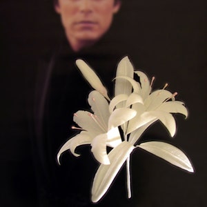 Ivory Regal Lily Men Boutonniere Corsage Lapel Pin Wedding Accessory