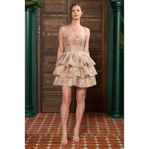 Beige Sparkly Tulle Prom Dress with Rhinestones & Lace-Up Back, Short Cocktail Party Dress
